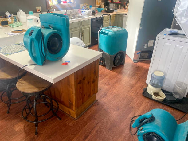 Best Residential water damage restoration  in Hockinson, WA
