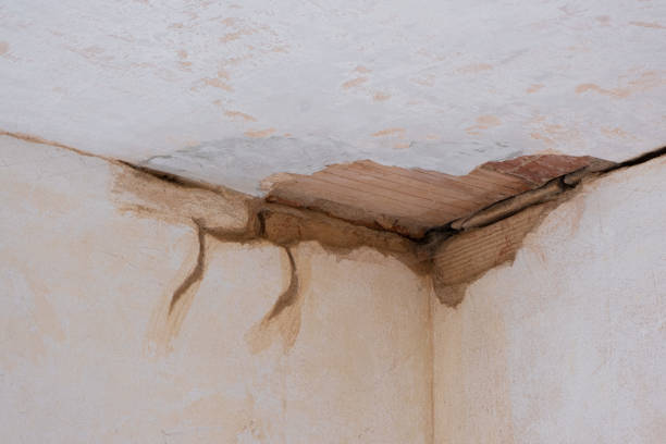Best 24-hour water damage restoration  in Hockinson, WA