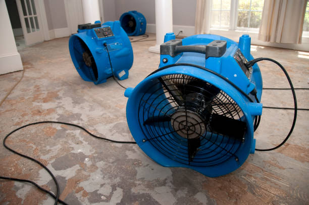 Best Water damage restoration near me  in Hockinson, WA