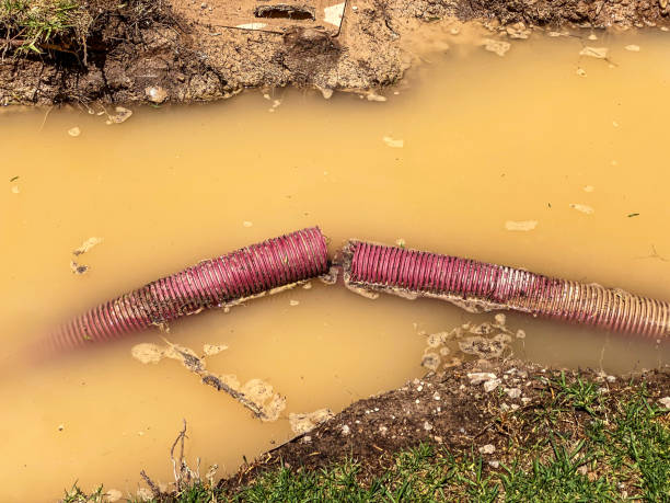 Best Water damage restoration process  in Hockinson, WA